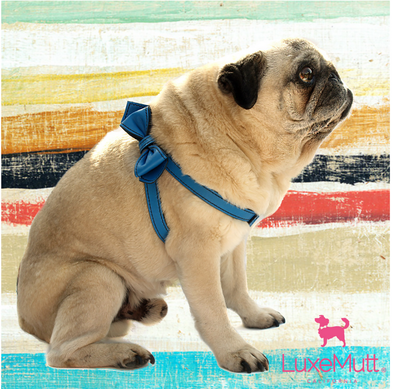 Peacock Blue Bowtie Leather Dog Harness