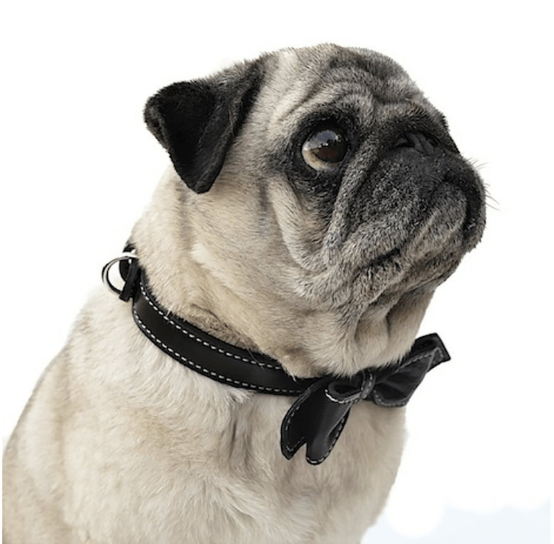 Basic Black Martini Bowtie Leather Dog Collar