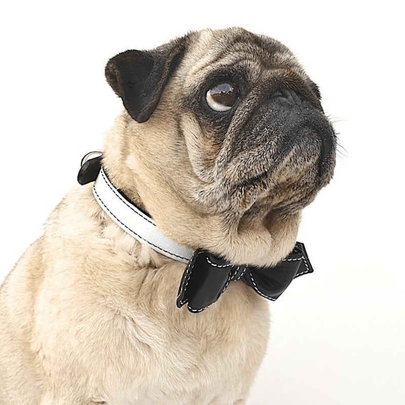 Black and White Oreeo Martini Bowtie Leather Dog Collar