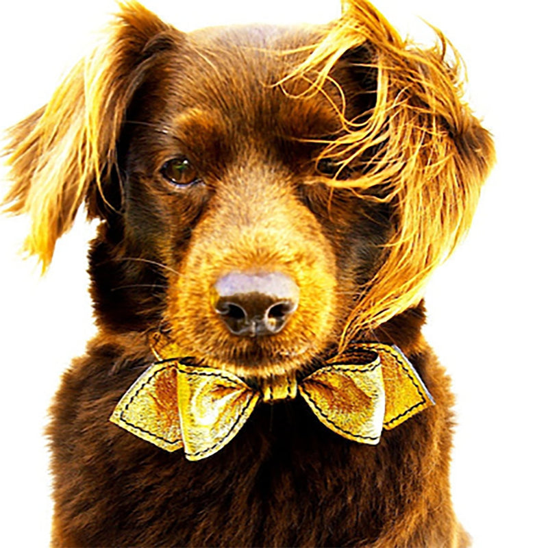 Heart of Gold Martini Bowtie Leather Dog Collar