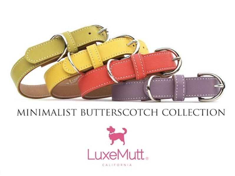 Minimalist Grapeseed Butterscotch Leather Dog Collar - LuxeMutt