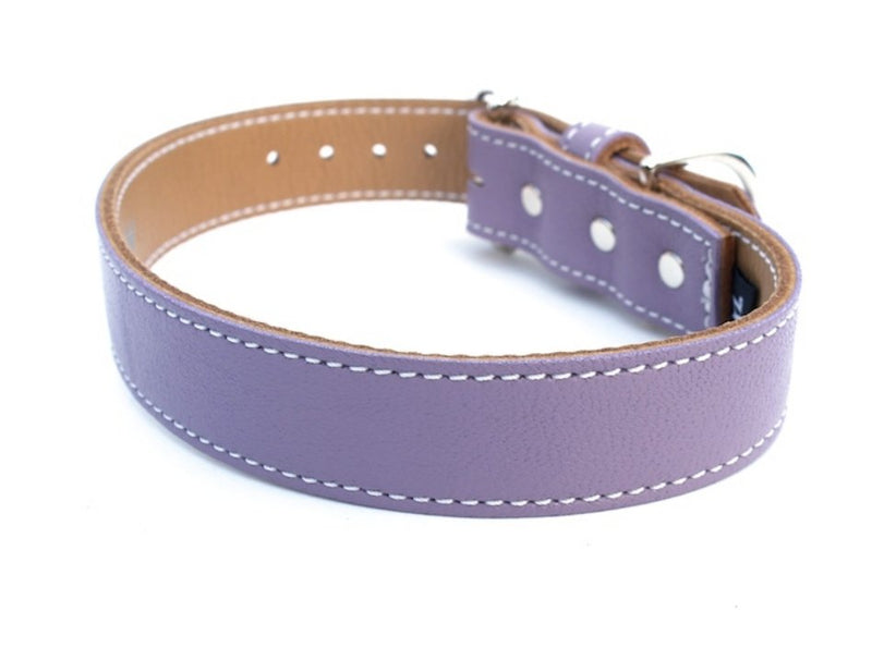 Minimalist Grapeseed Butterscotch Leather Dog Collar