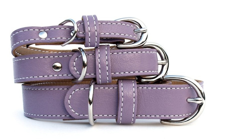 Minimalist Grapeseed Butterscotch Leather Dog Collar