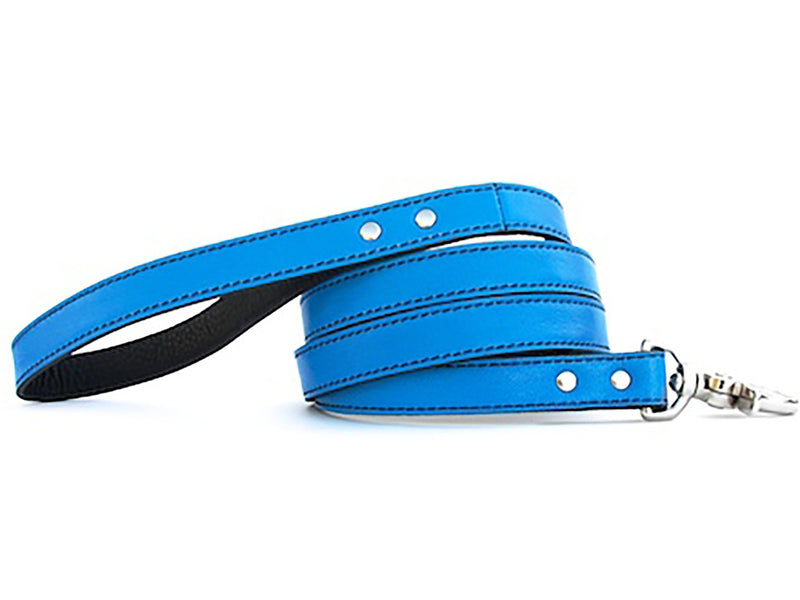 Minimalist Peacock Blue Leather Dog Leash