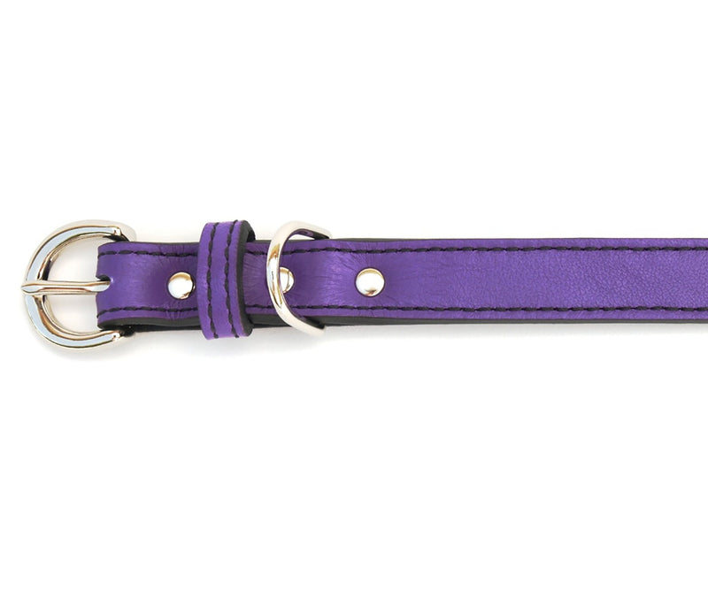 Minimalist Purplicious Leather Dog Collar