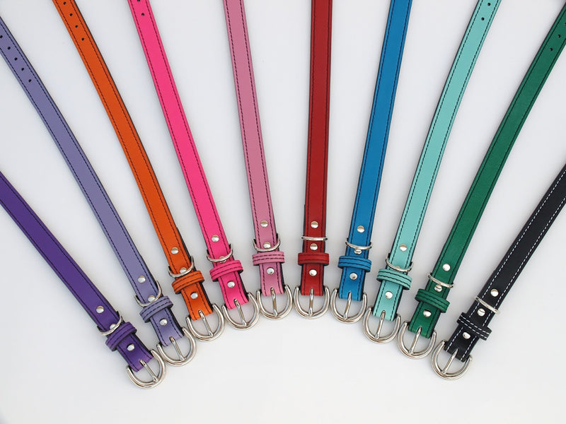 Minimalist Purplicious Leather Dog Collar