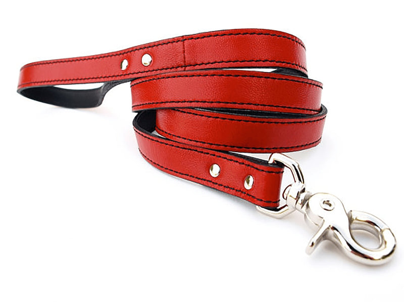 Minimalist Renegade Red Leather Dog Leash