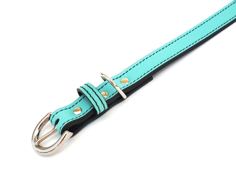 Minimalist Seafoam Green Leather Dog Collar