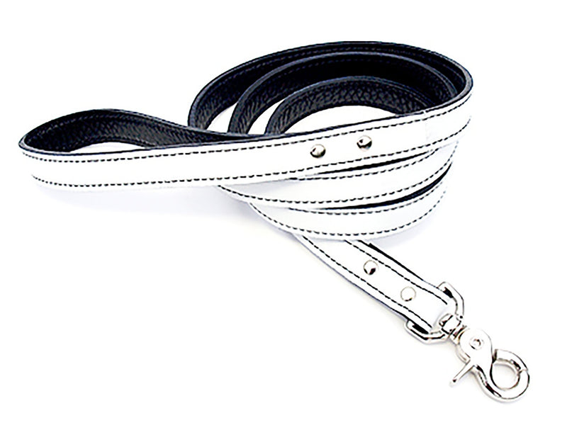 Minimalist White Peppermint Leather Dog Leash