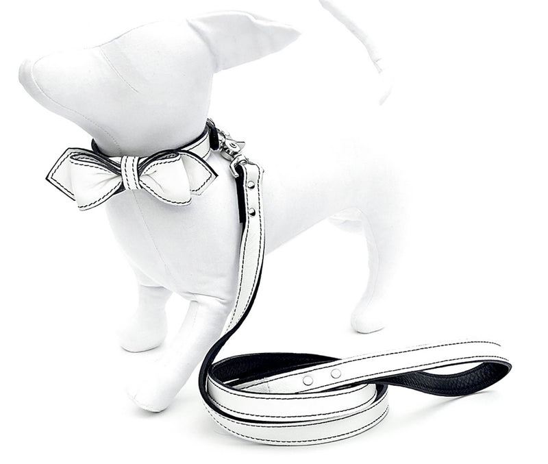 Minimalist White Peppermint Leather Dog Leash