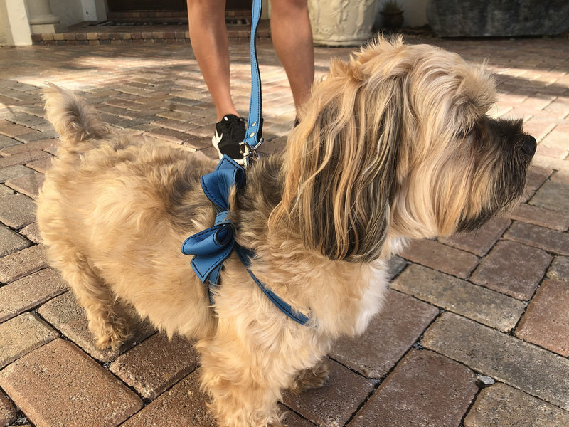 Peacock Blue Bowtie Leather Dog Harness