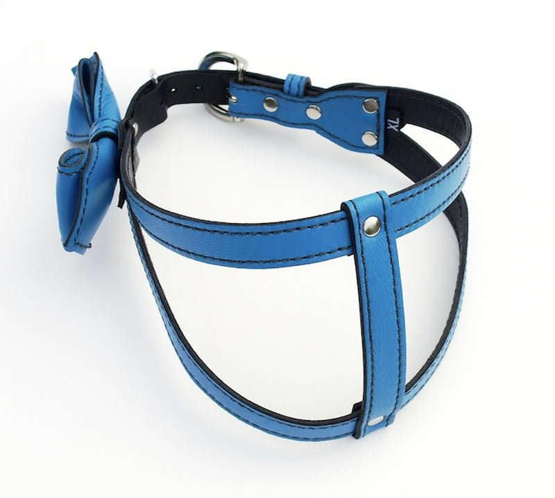 Peacock Blue Bowtie Leather Dog Harness