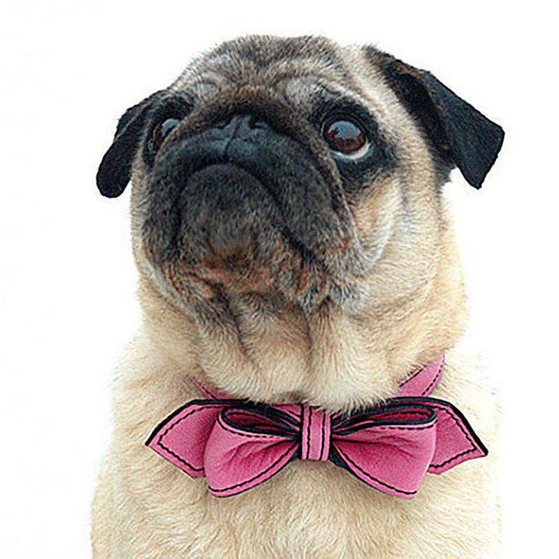 Poodle Pink Martini Bowtie Leather Dog Collar - LuxeMutt