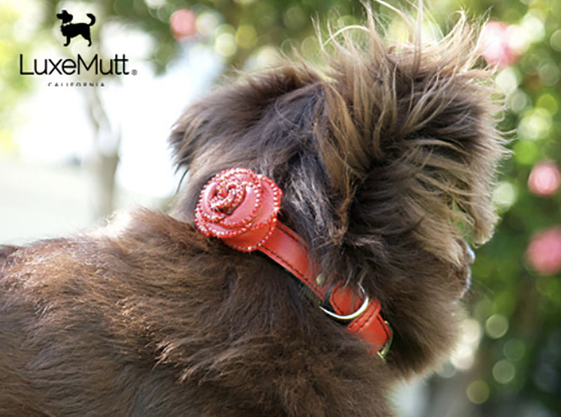 Renegade Red Rosalicious Leather Dog Collar - LuxeMutt