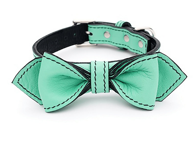 Seafoam Green Martini Bowtie Leather Dog Collar