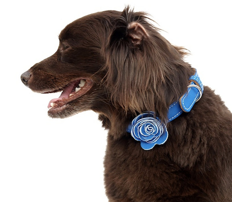 The Flower Child Blue Bliss Leather Dog Collar - LuxeMutt