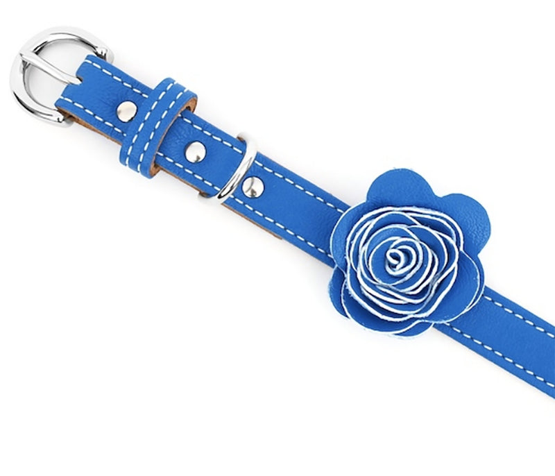 The Flower Child Blue Bliss Leather Dog Collar - LuxeMutt