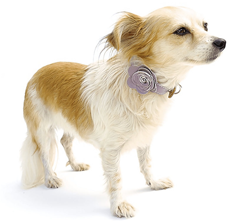 The Flower Child Lavendar Leather Dog Collar