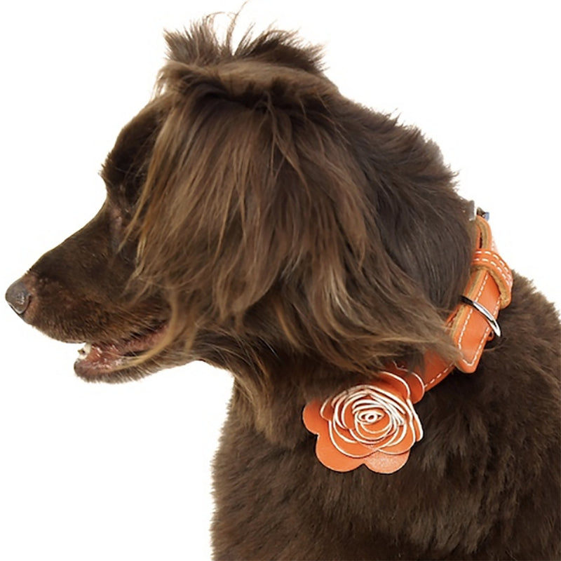 The Flower Child Orange Kiss Leather Dog Collar