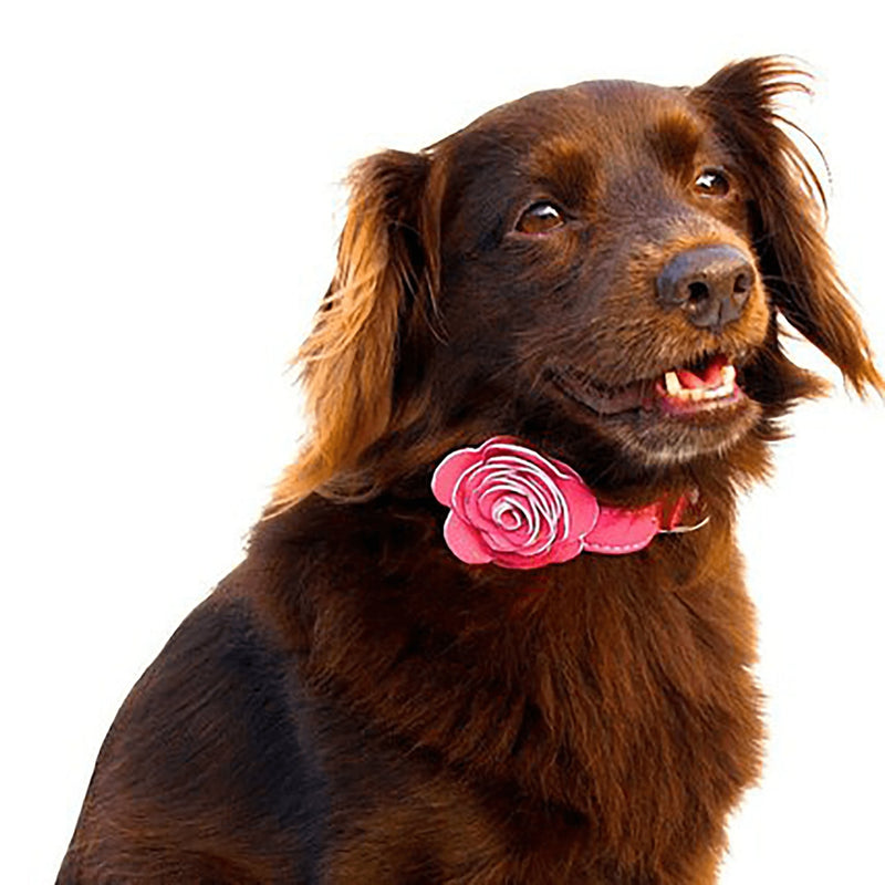 The Flower Child Pink Supreme Leather Dog Collar