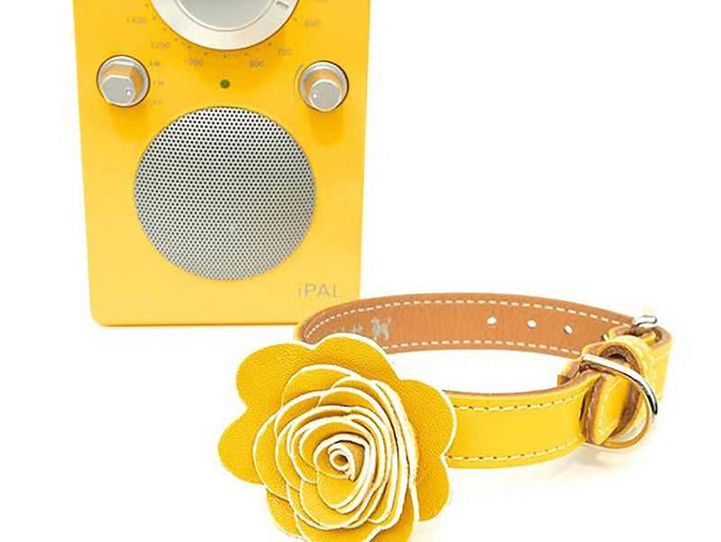 The Flower Child Sunshine Yellow Leather Dog Collar - LuxeMutt