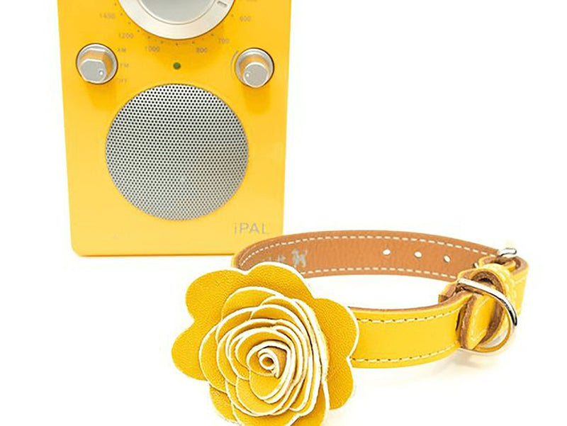 The Flower Child Sunshine Yellow Leather Dog Collar