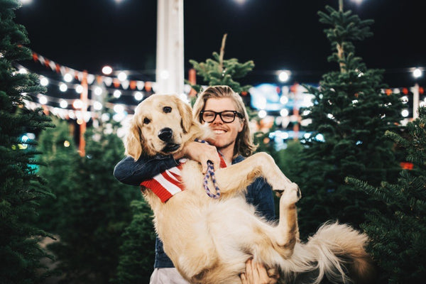 Holiday Outfits: Your Dog Matters, Too! | LuxeMutt