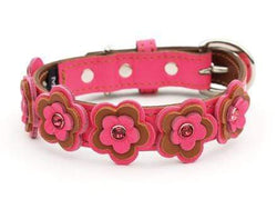 Cosmic Daisy LuxeMutt Pink Leather Dog Collar - LuxeMutt