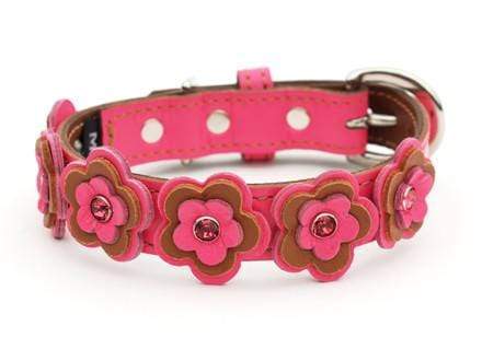 Cosmic Daisy LuxeMutt Pink Leather Dog Collar - Main Image