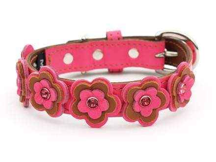 Cosmic Daisy LuxeMutt Pink Leather Dog Collar - LuxeMutt