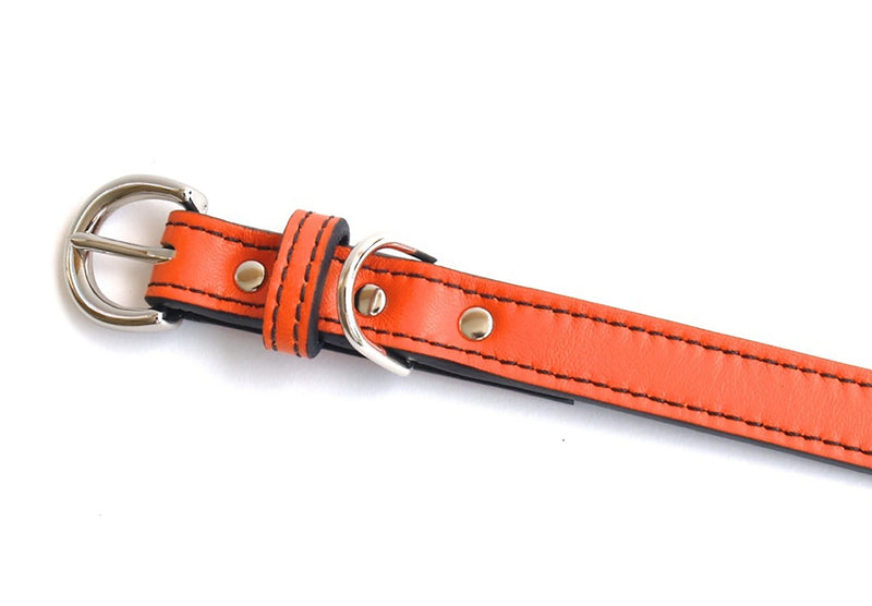 Minimalist California Tangerine Leather Dog Collar