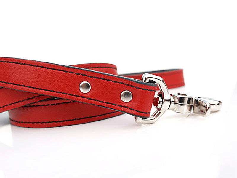 Minimalist Renegade Red Leather Dog Leash
