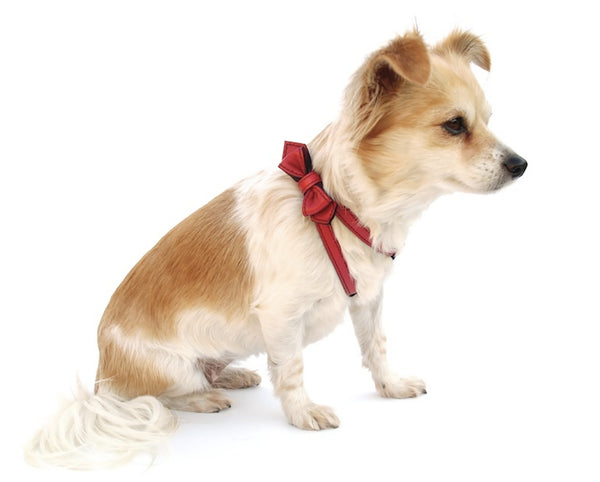 Renegade Red Bowtie Leather Dog Harness - LuxeMutt