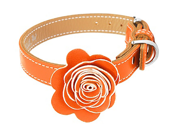 The Flower Child Orange Kiss Leather Dog Collar - LuxeMutt